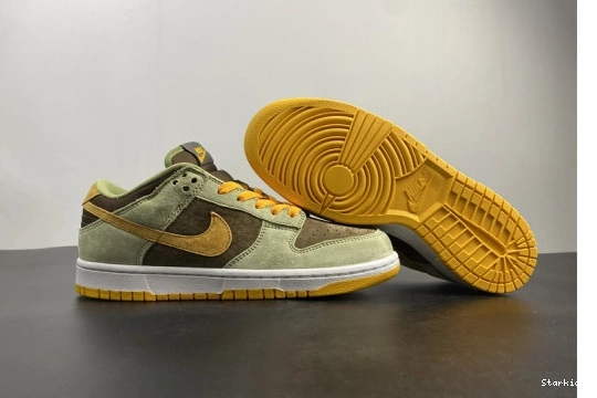 DH5360-300 Olive Nike Low Dusty Dunk 1003